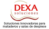 Dexa Soluciones