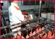 Industria alimentaria