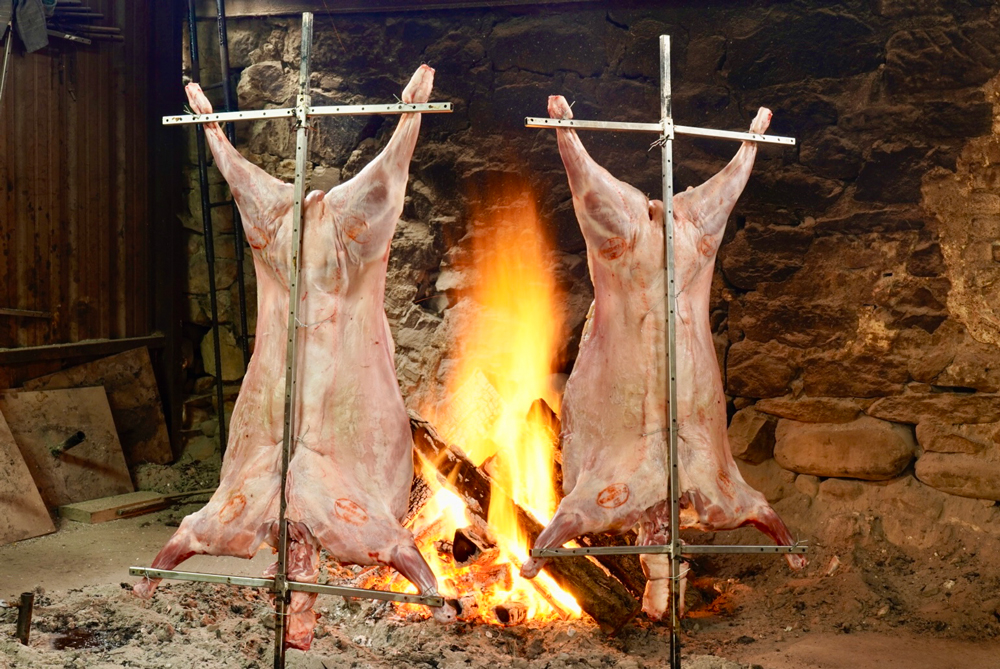 ternasco aragon